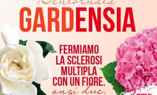 PAVIA & PROVINCIA 24/02/2023: Sclerosi Multipla. Il 4 5 e 8 Marzo c’è la raccolta fondi Bentornata Gardensia