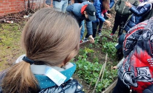 VOGHERA 06/03/2023: Scuola. Agenda 2030 alla primaria San Vittore. Dai pericoli della Rete all’orto didattico