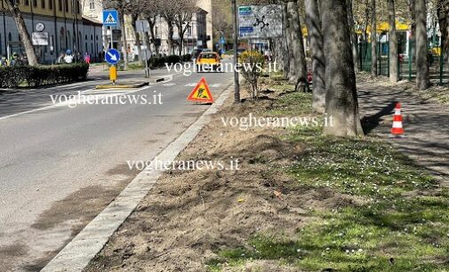 VOGHERA 28/03/2023: Nuove siepi in via Gramsci. Sarà sostituita l’altalena vandalizzata nel parco giochi