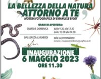 VOGHERA 04/05/2023: “Vicini Nascosti”. La bellezza della natura raccontata attraverso la mostra al Castello Visconteo. Da sabato 6 fino al 21 maggio