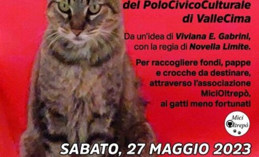 CIGOGNOLA 23/05/2023: Sabato al Polo Civico uno spettacolo benefico per ricordare il gatto Felice e aiutare i felini randagi dell’Oltrepo. Tutti invitati