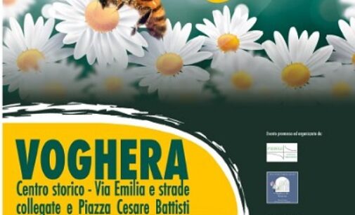 VOGHERA 07/06/2023: Sabato e Domenica nelle vie del centro ‘Natura in festa’, evento Florovivaistico, Artistico, Artigianale. Il programma completo