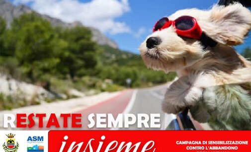 VOGHERA 07/07/2023: R-ESTATE sempre insieme. Comune di Voghera e Asm insieme contro l’abbandono degli animali