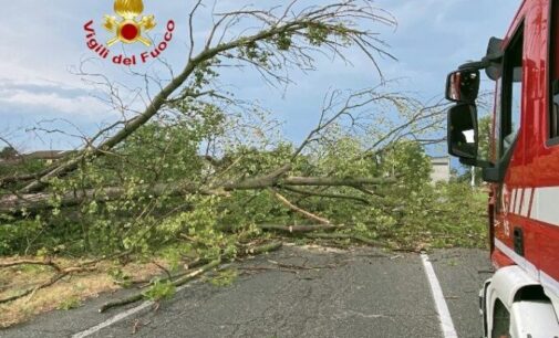 METEO 27/08/2023: AGGIORNAMENTO. Centinaia di interventi ieri dei vigili del fuoco. Ancora pericolo pioggia e vento fortissimi fino a lunedì