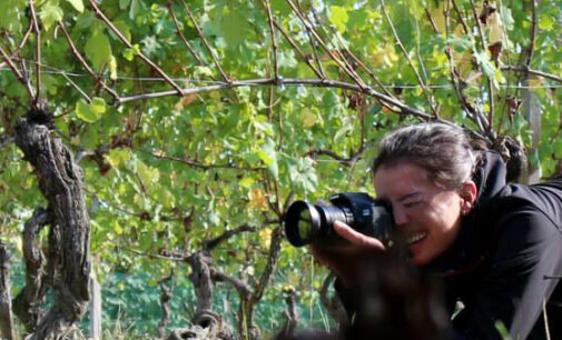 VOGHERA 04/09/2023: Fotografare la vendemmia. Un workshop fra le vigne dell’Oltrepò Pavese con Spazio 53