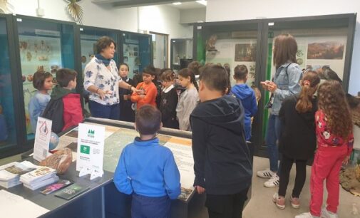 VOGHERA 02/10/2023: La scuola De Amicis in visita alla mostra “Alieni” del Museo di Scienze Naturali