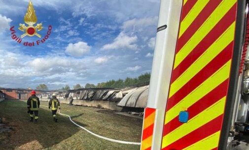 VELLEZZO BELLINI 21/10/2023: Incendio nel capannone agricolo. Strage di animali. Morti 10mila tacchini