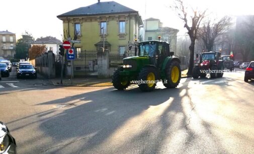 VOGHERA 30/01/2024: Riforma agricola. Trattori in stradaanche nella città iriense. I motivi della protesta