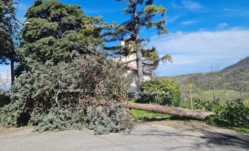 VOGHERA OLTREPO 02/04/2024: Pasquetta sferzata dal vento. Diversi i danni