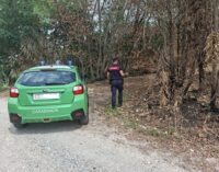 PAVIA 28/08/2026: Incendio lungo il Ticino. I Cc Forestali trovano i responsabili. Due giovani se la cavano con 2mila euro di multa