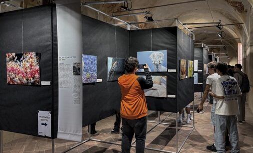 VOGHERA 26/09/2026:Ultimo fine settimana dedicato alla 7° edizione del Festival Nazionale Voghera Fotografia. IL PROGRAMMA DEL TERZO (E ULTIMO) WEEK END