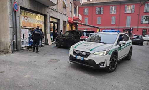 VOGHERA 20/10/2026: Controlli straordinari della polizia locale in piazza san Bovo. Verifiche a persone e negozi. Messo in sicurezza un cane privo di chip