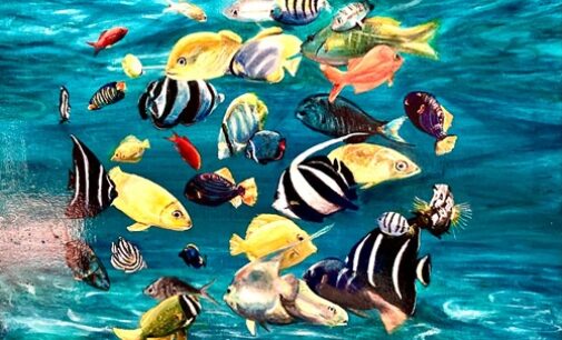 VOGHERA 28/10/2026: “AGUA”. Spazio 53 mette in mostra le opere del pittore ANDROS